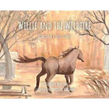 Willie and the Wildfire - Hardcover