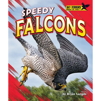Speedy Falcons - Library Binding