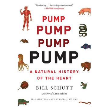 Pump: A Natural History of the Heart - Paperback
