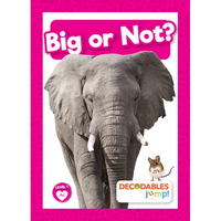 Big or Not? - Library Binding