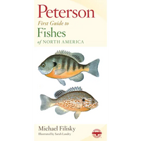 Peterson First Guide to Fishes of North America - Paperback