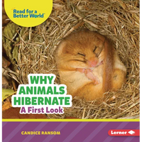 Why Animals Hibernate: A First Look - Paperback