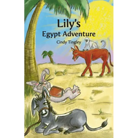 Lily's Egypt Adventure - Paperback