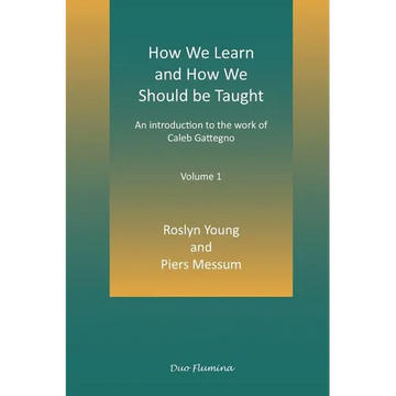 How We Learn and How We Should Be Taught - Paperback