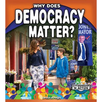 Why Does Democracy Matter? - Paperback