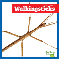 Walkingsticks - Paperback