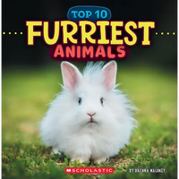 Furriest Animals (Wild World: Top 10) - Paperback