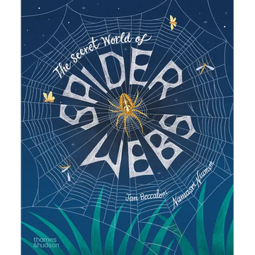 The Secret World of Spiderwebs - Hardcover
