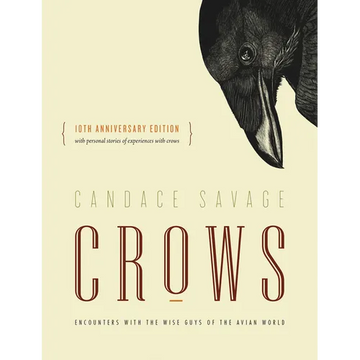 Crows: Encounters with the Wise Guys of the Avian World {10th Anniversary Edition} - Paperback