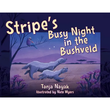 Stripe's Busy Night in the Bushveld - Paperback