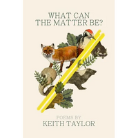 What Can the Matter Be? - Paperback