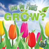 How Do Plants Grow? - Paperback