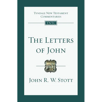 The Letters of John: An Introduction and Commentary Volume 19 - Paperback