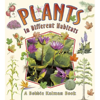 Plants in Different Habitats - Paperback