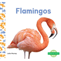 Flamingos - Library Binding