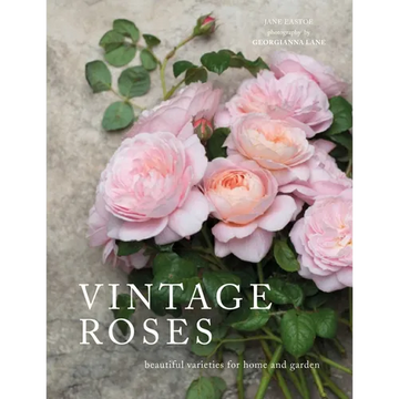 Vintage Roses: Beautiful Varieties for Home and Garden - Hardcover