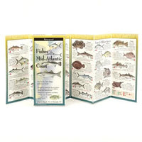 Fishes of the Mid-Atlantic Coast