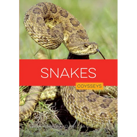 Snakes - Paperback