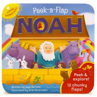 Noah (Little Sunbeams) - Board Book