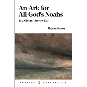 An Ark for All God's Noahs: In a Gloomy, Stormy Day - Paperback