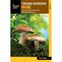 Foraging Mushrooms Maine - Paperback