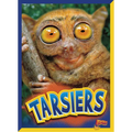Tarsiers