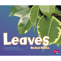 Leaves - Paperback