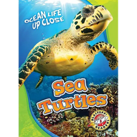 Sea Turtles - Library Binding