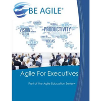 Agile for Executives - Paperback
