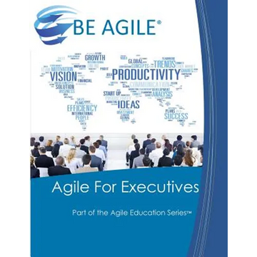 Agile for Executives - Paperback