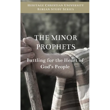 The Minor Prophets: Battling for the Hearts of God's People - Paperback