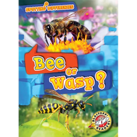 Bee or Wasp? - Paperback