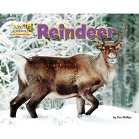 Reindeer - Paperback