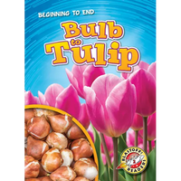Bulb to Tulip - Library Binding