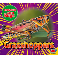 Grasshoppers - Paperback