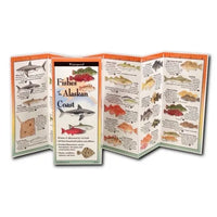 Fishes of the Alaskan Coast