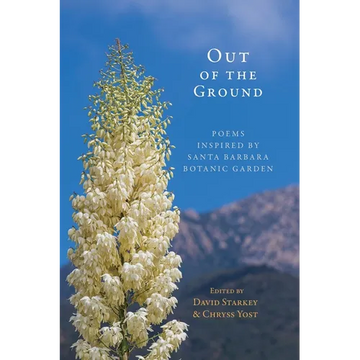 Out of the Ground - Paperback