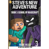 Steve's New Adventure Book 3: School of Magecraft - Paperback