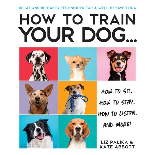 How to Train Your Dog: A Relationship-Based Approach for a Well-Behaved Dog