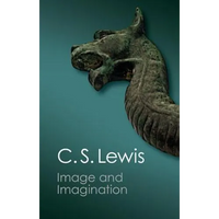 Image and Imagination - Paperback