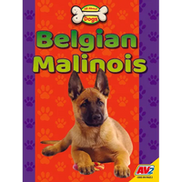 Belgian Malinois - Paperback