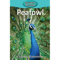 Peafowl - Paperback
