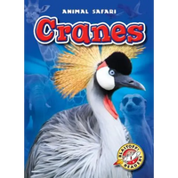 Cranes - Library Binding