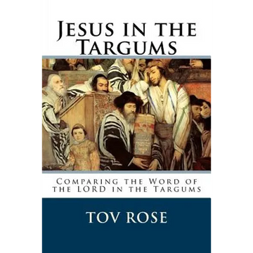 Jesus in the Targums - Paperback