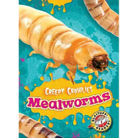 Mealworms - Paperback