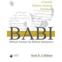 Biblical Aramaic for Biblical Interpreters: A Parallel Hebrew-Aramaic Handbook - Paperback