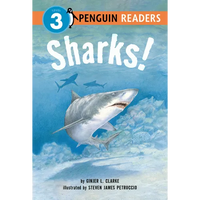 Sharks! - Paperback