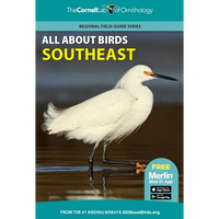 All about Birds Southeast - Paperback