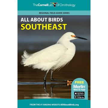 All about Birds Southeast - Paperback