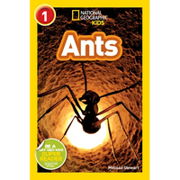 Ants (National Geographic Kids Readers, Level 1) - Paperback